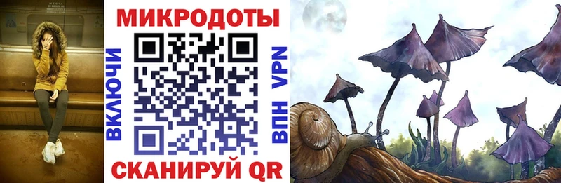 Галлюциногенные грибы GOLDEN TEACHER  Купить где  Белово 