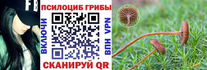 Галлюциногенные грибы Magic Shrooms Белово