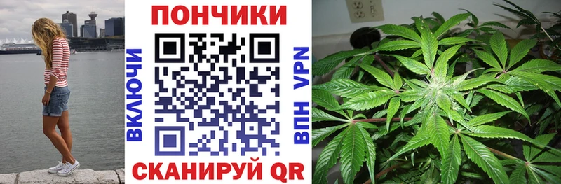 Купить закладки  Белово  Канабис план 